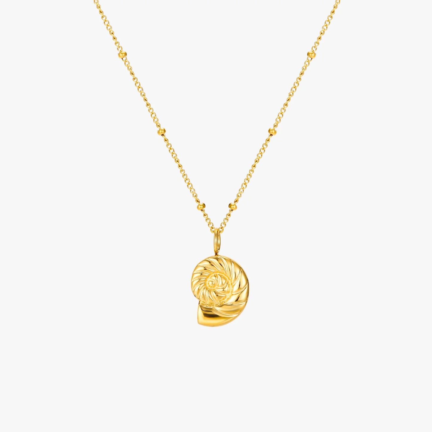 Atolea Nautilus Necklace