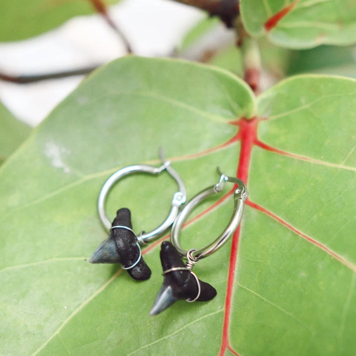 Silver Fin Boca Hoops - Silver