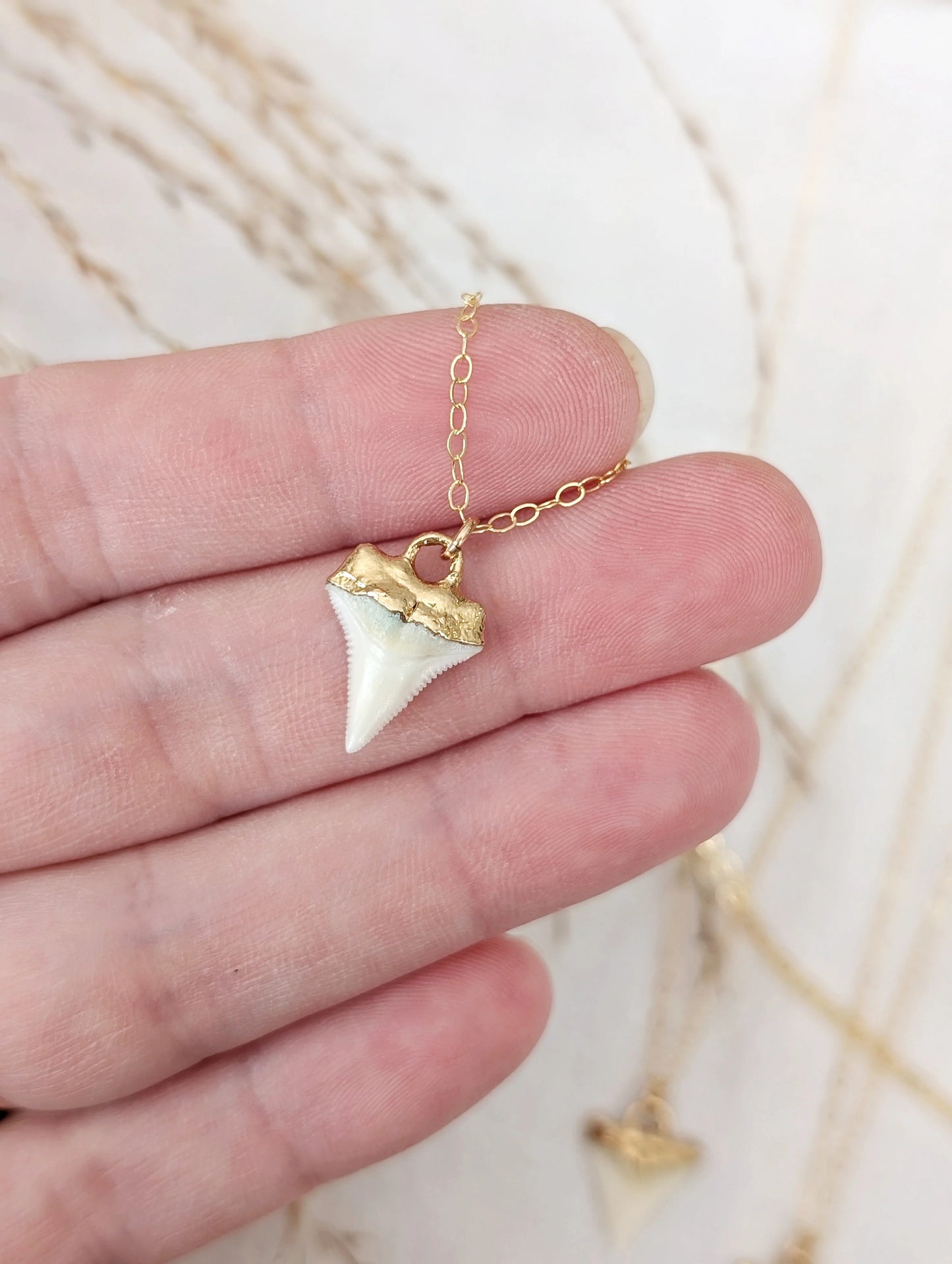 From The Sea & Me 14k Gold Dipped Shark Tooth Necklace