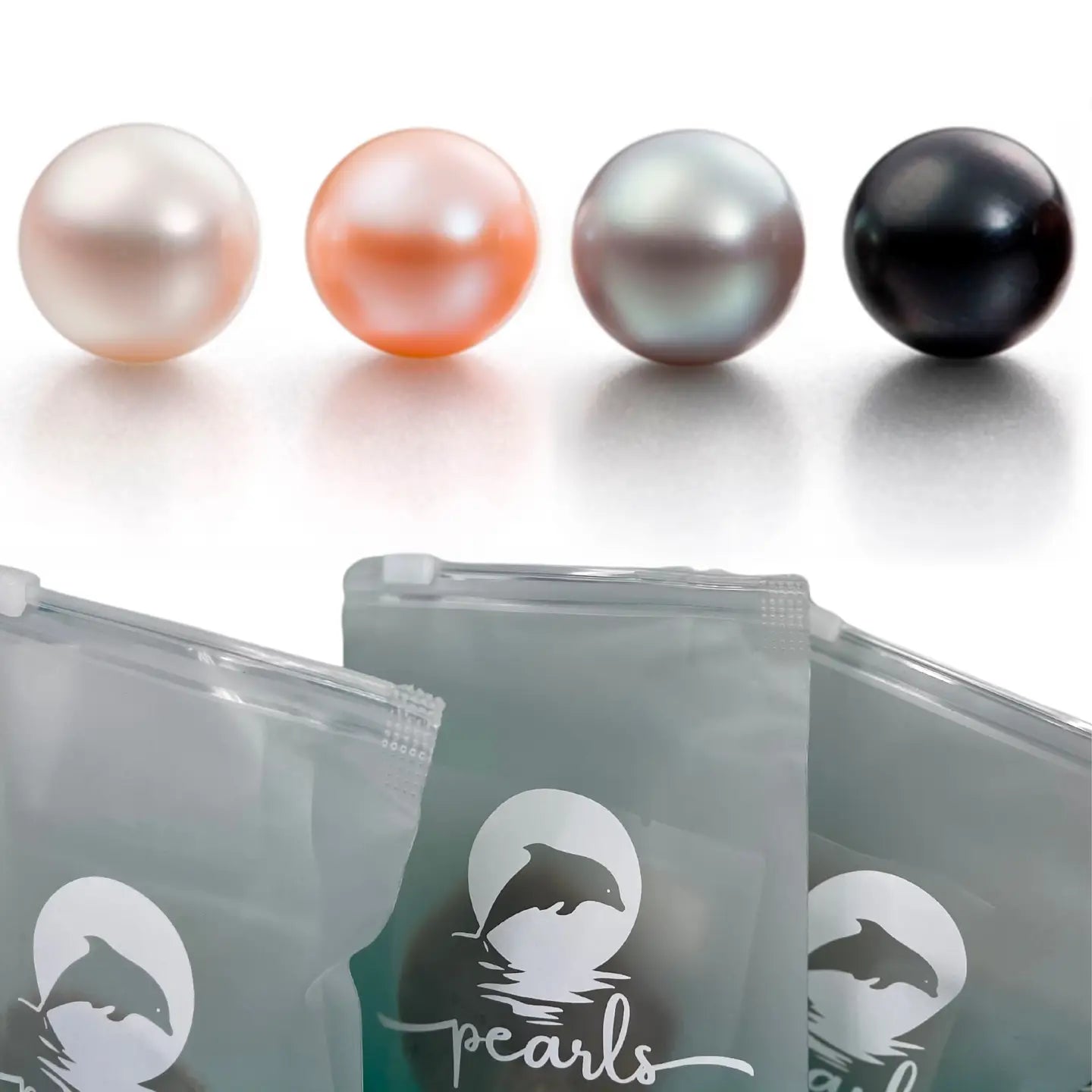 Island Pearl Traders Pearl Oyster