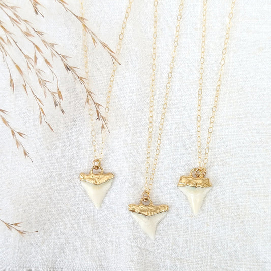 From The Sea & Me 14k Gold Dipped Shark Tooth Necklace