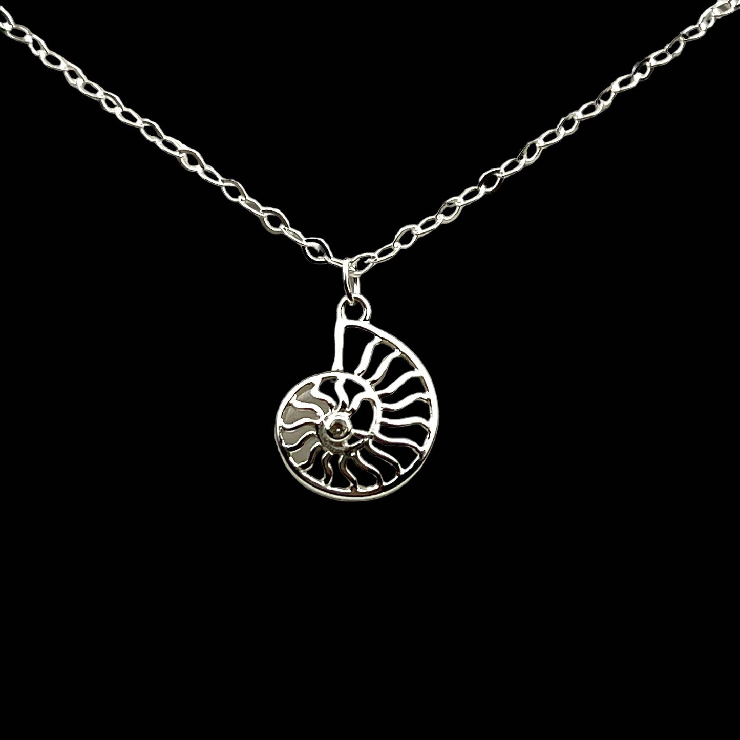 Jackie Gallagher Designs Nautilus Shell Necklace
