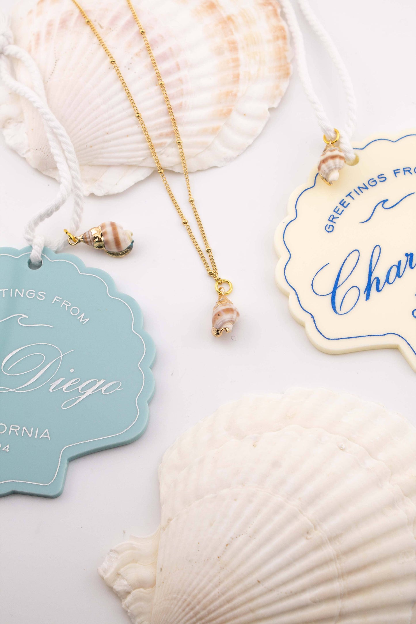Freshwater Curated Goods Islamorada Seashell Charm Ornament
