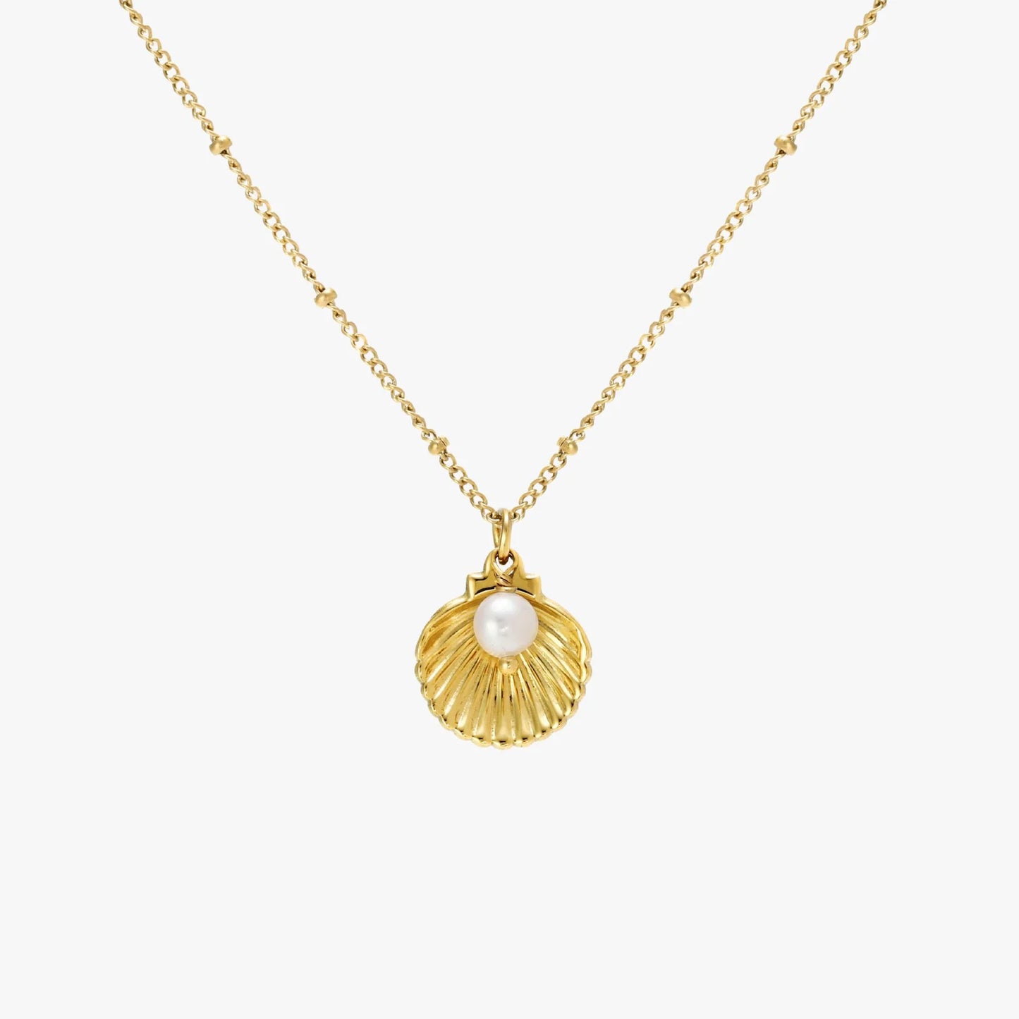 Atolea Seashell Necklace